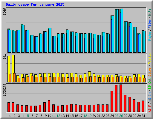 Daily usage for January 2025