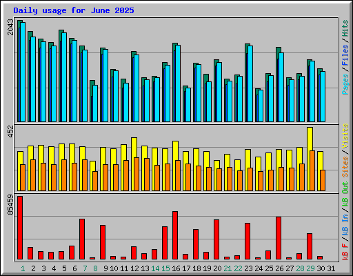 Daily usage for June 2025