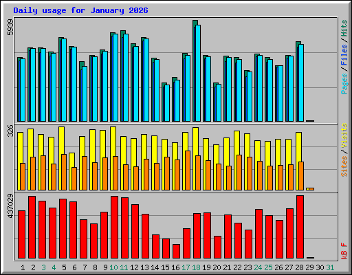 Daily usage for January 2026