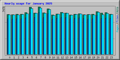 Hourly usage for January 2025