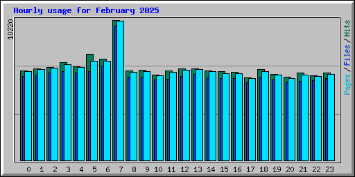 Hourly usage for February 2025