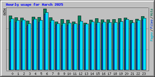 Hourly usage for March 2025