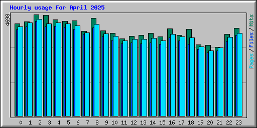 Hourly usage for April 2025