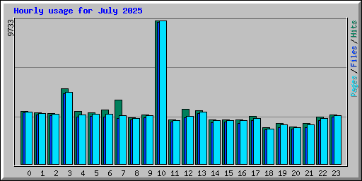Hourly usage for July 2025