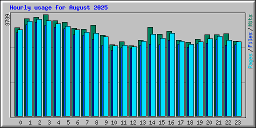 Hourly usage for August 2025