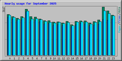 Hourly usage for September 2025
