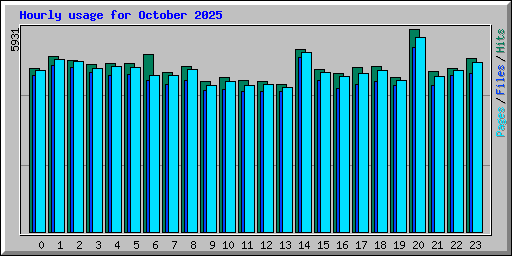 Hourly usage for October 2025