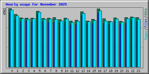 Hourly usage for November 2025