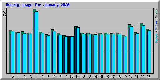 Hourly usage for January 2026